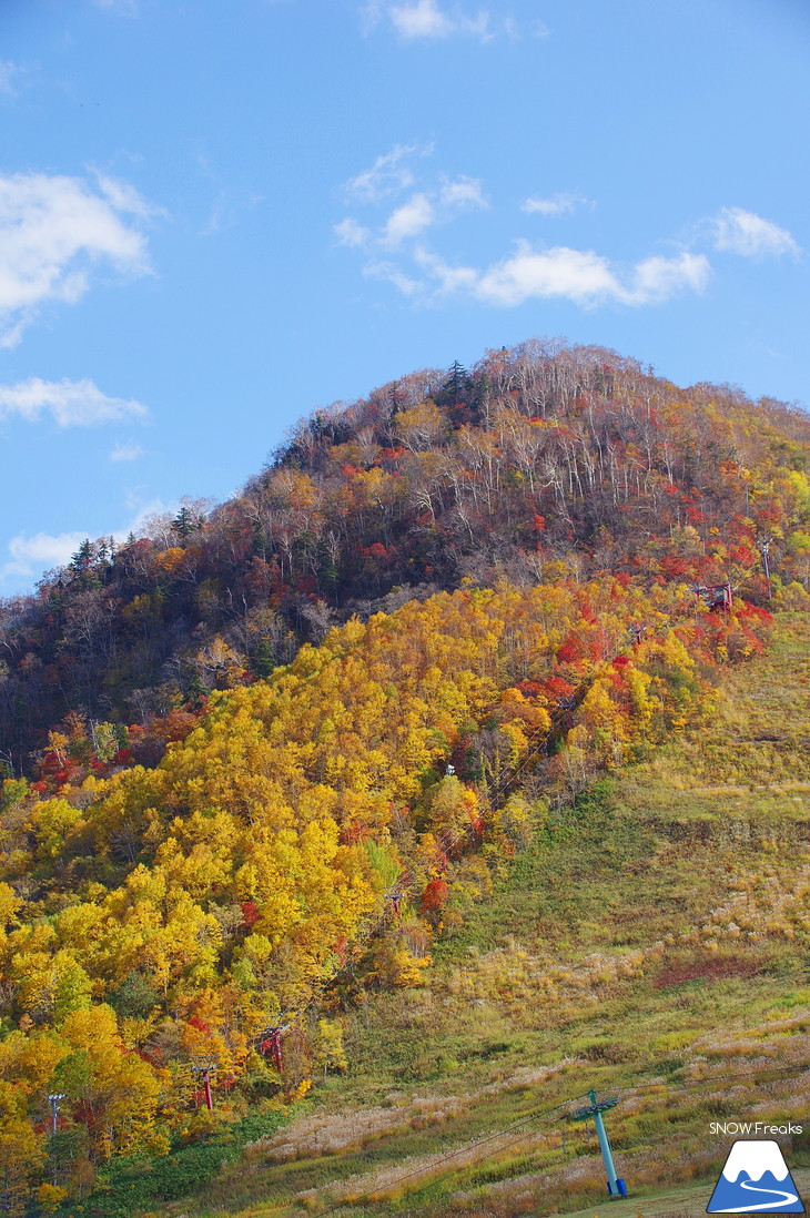 手稲山 2017 紅葉前線、順調に下山中！